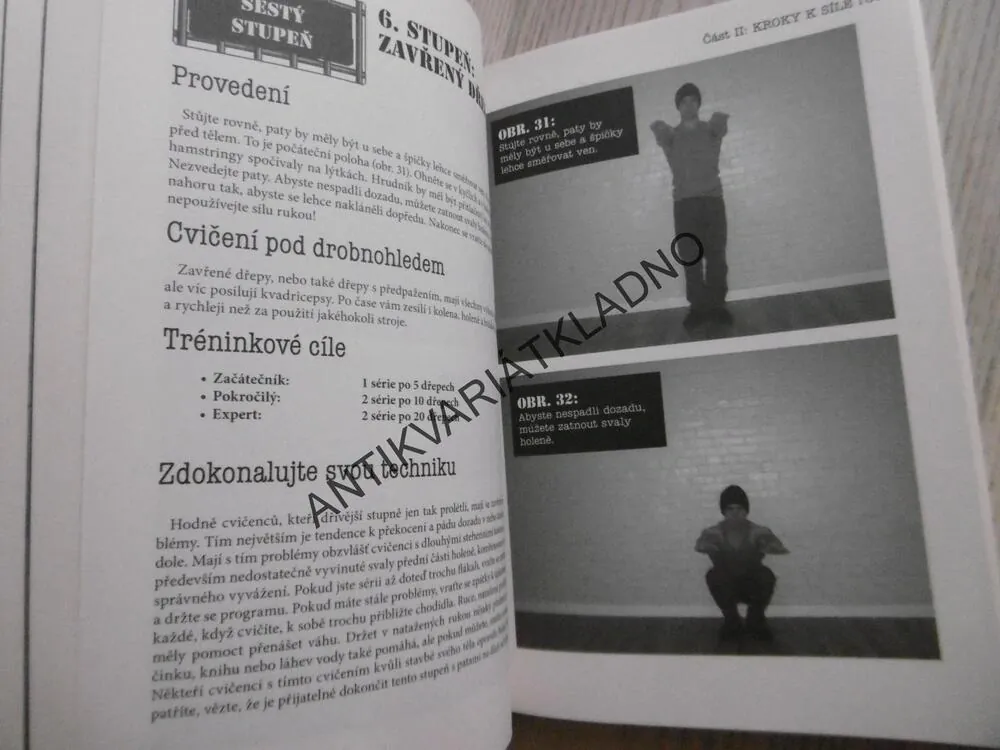 TRÉNINK VĚZNĚ, PAUL COACH WADE, **an