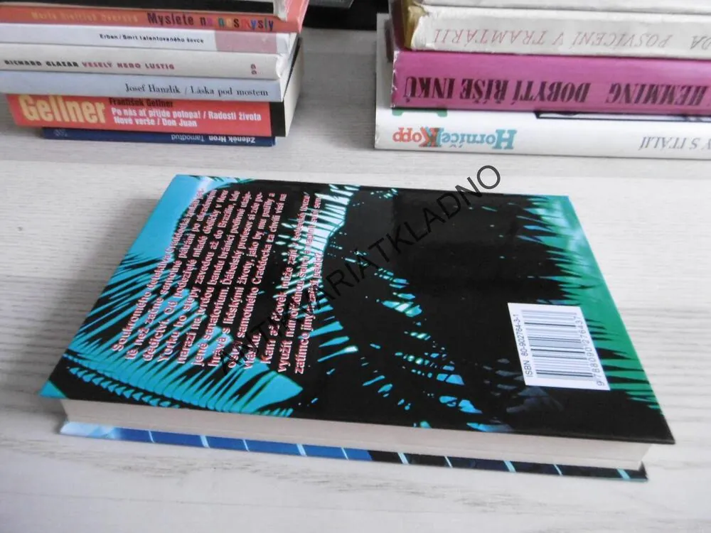 JEDINEČNÁ ŠANCE, PETR BAMBAS, **an