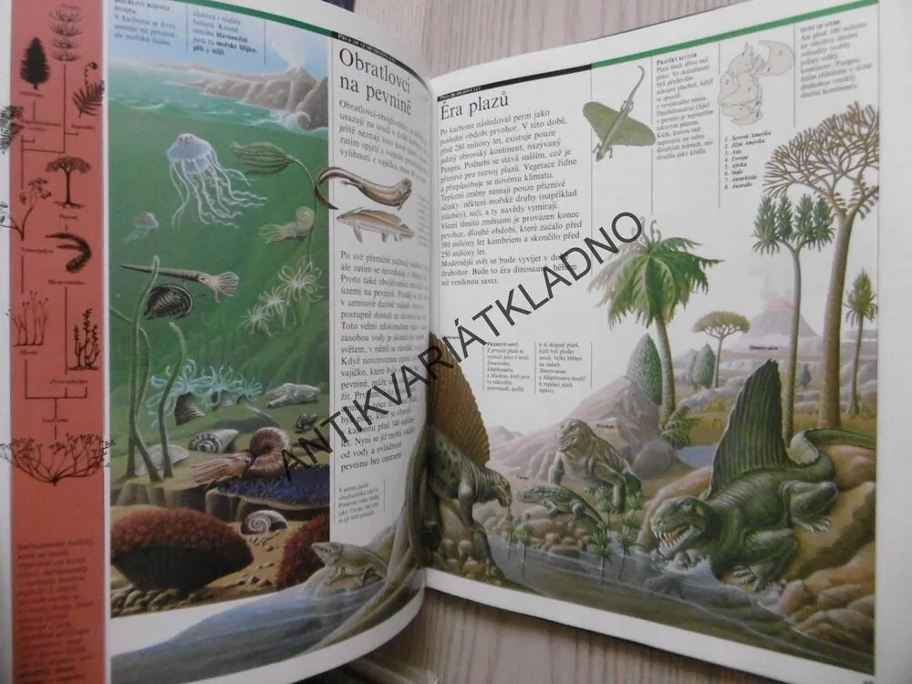 OD VELKÉHO TŘESKU K ČLOVĚKU, ILUSTROVANÉ DĚJINY SVĚTA, KOLEKTIV AUTORŮ, **an