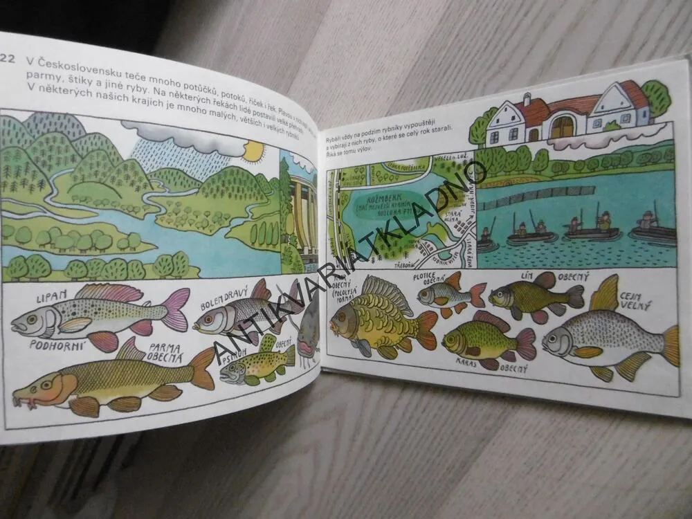 OBRÁZKOVÁ KNÍŽKA O ČESKOSLOVENSKU, OLDŘICH ČERNÝ, IVO ŠEDIVÝ, **an