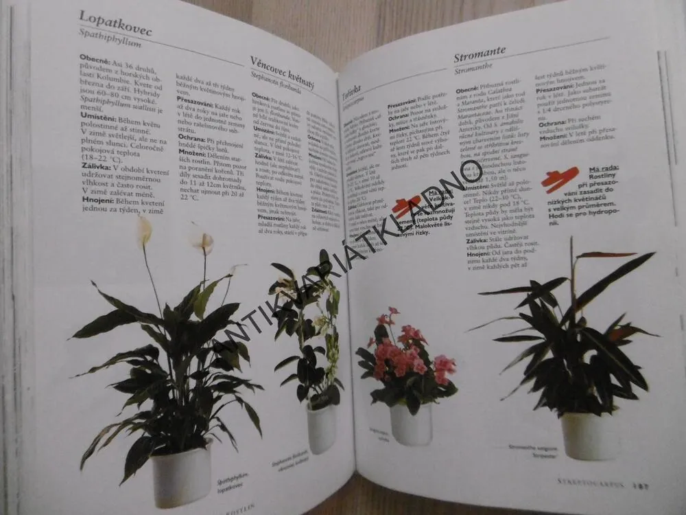 JAK PĚSTOVAT POKOJOVÉ ROSTLINY, JÜRGEN WOLF, **an