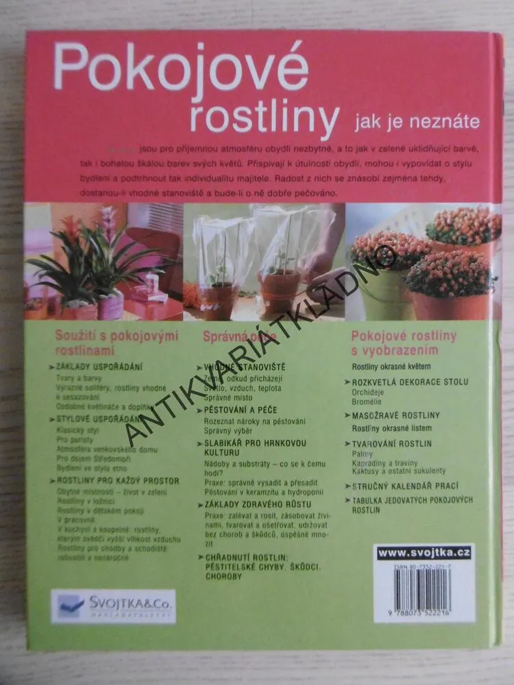 POKOJOVÉ ROSTLINY JAK JE NEZNÁTE, KARIN GREINER, ANGELIKA WEBEROVÁ, **an