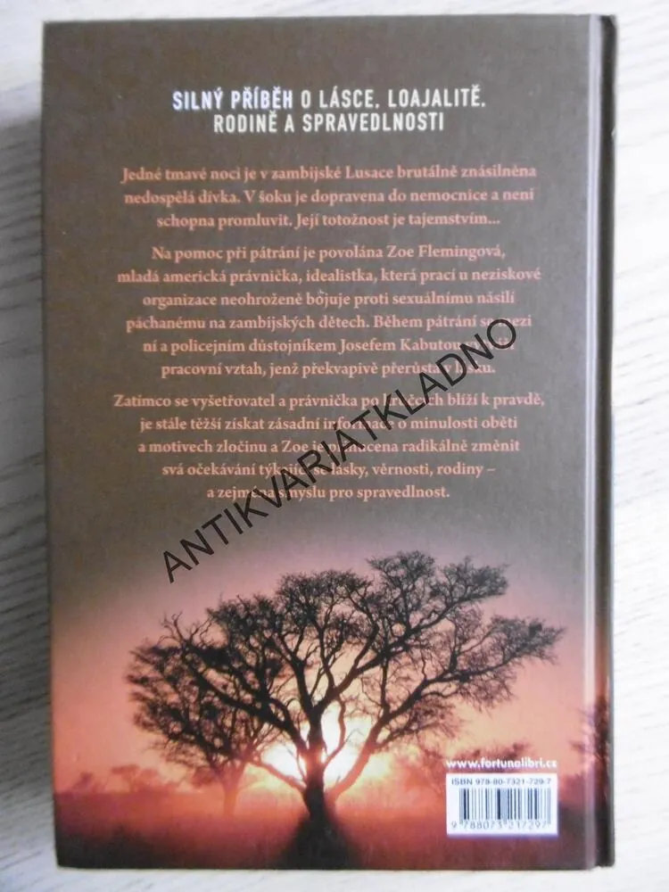 BEZNADĚJNÝ PŘÍPAD?, CORBAN ADDISON, **an