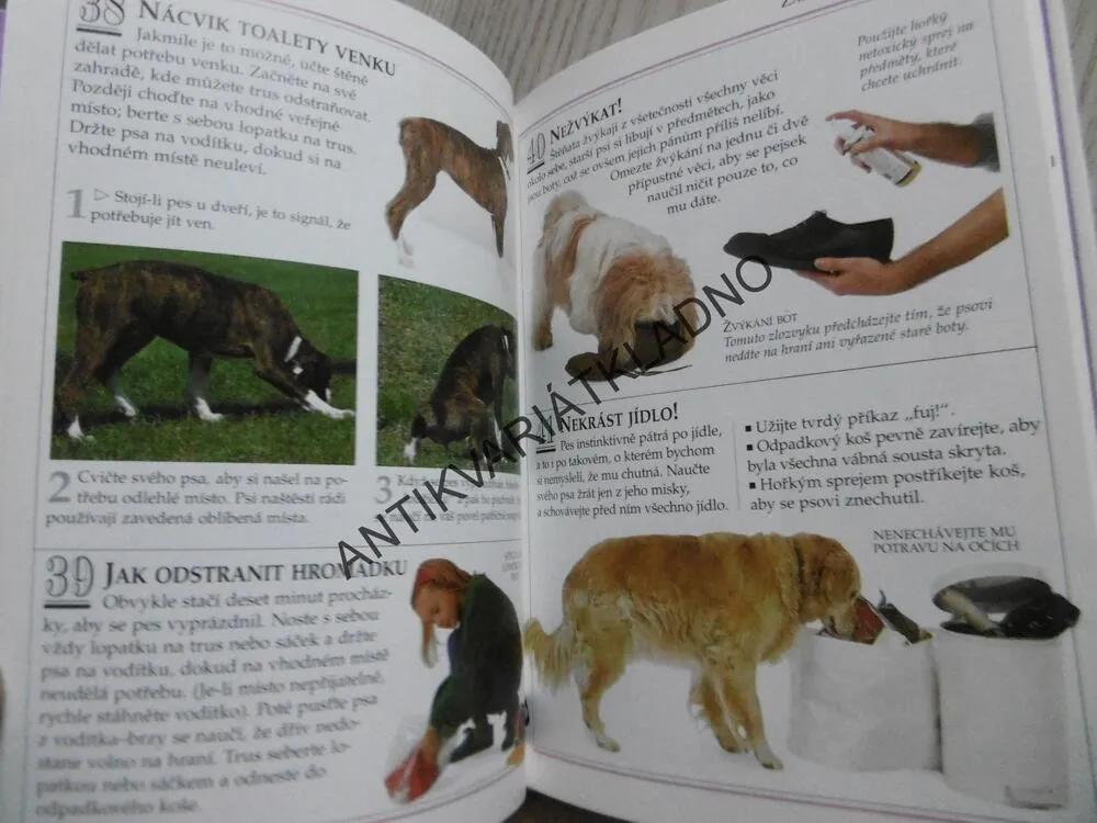 JAK PEČOVAT O PSA, 101 PRAKTICKÝ RAD, BRUCE FOGLE, **an