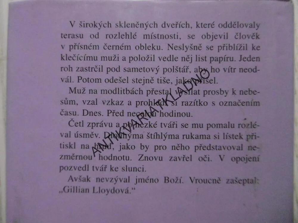 ZÁMĚNA, SANDRA BROWN, **an