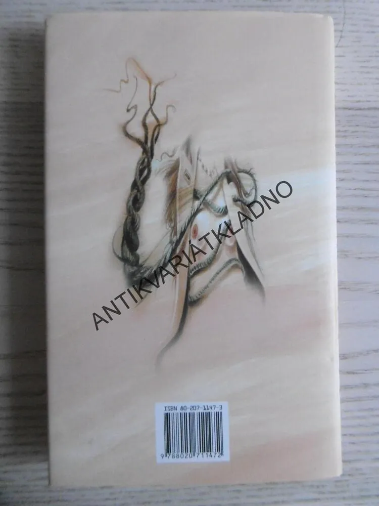 MANŽELSTVÍ DO 158 LIBER, JOHN IRVING, **an