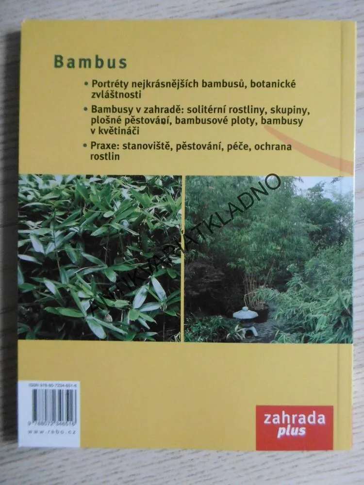 BAMBUS, FRIEDRICH EBERTS, **an