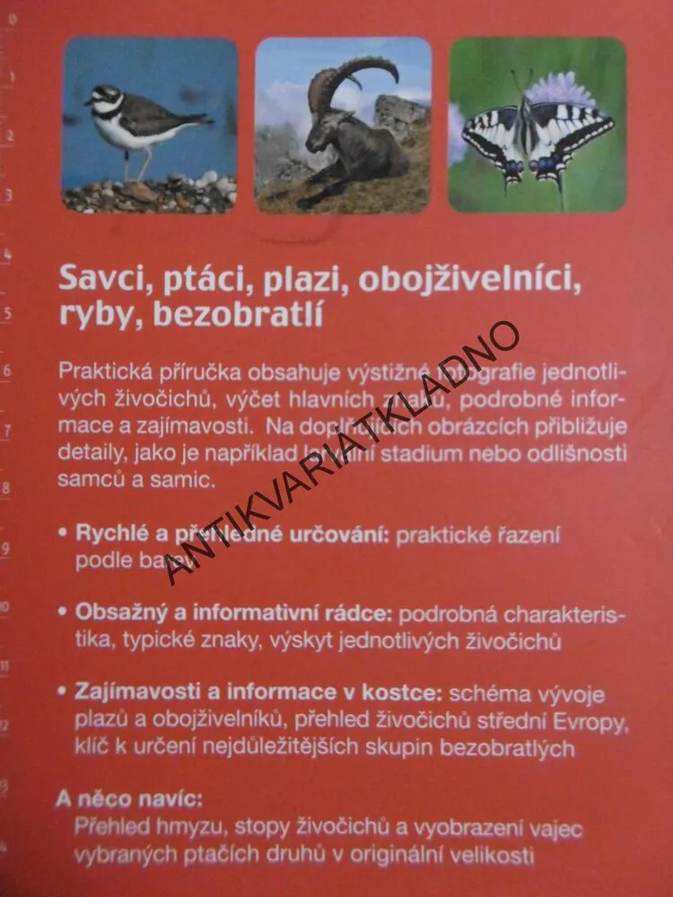 ATLAS ŽIVOČICHŮ, 1000 ŽIVOČICHŮ STŘEDNÍ EVROPY, HEIKO BELLMANN A KOLEKTIV, **an