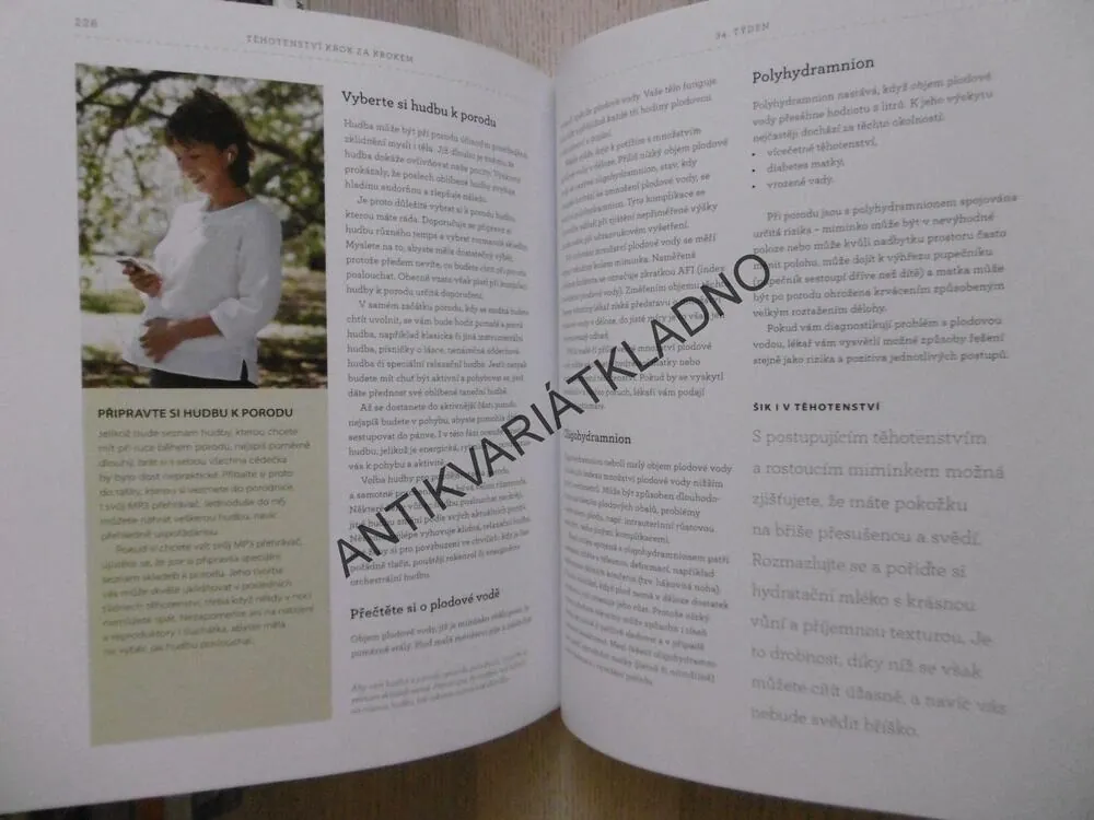 TĚHOTENSTVÍ KROK ZA KROKEM, ROBIN ELISE WEISSOVÁ, **an