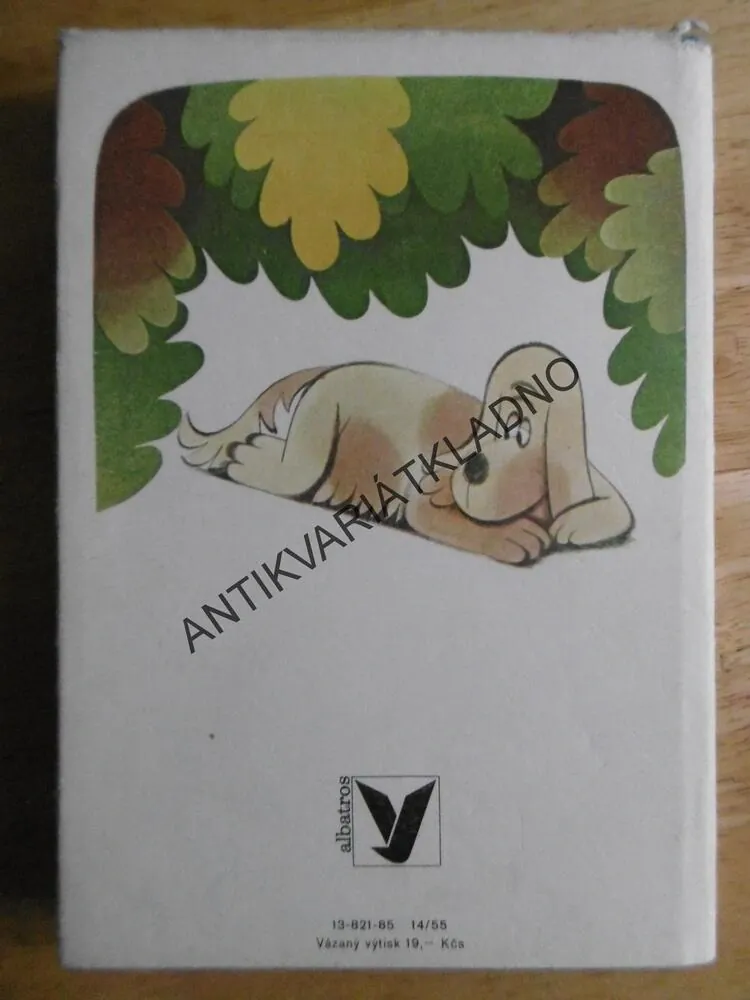 MATEŘSKÉ ZNAMÉNKO, V.P.BOROVIČKA, NOLL, **an