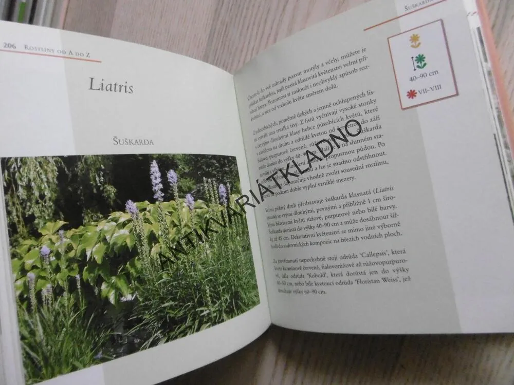 LEXIKON: ROSTLINY PRO ZAHRADY SNŮ, HERMANN HACKSTEIN, WOTA WEHMEYER, **an