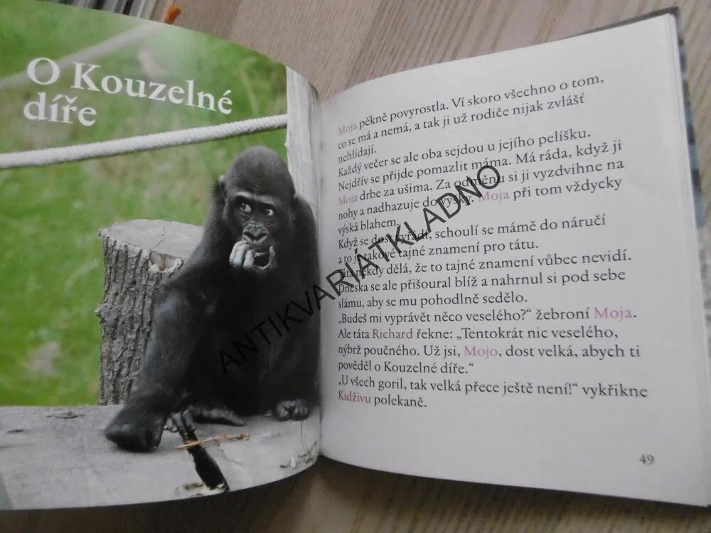 MOJA A PÁV, TEREZA ŠEFRNOVÁ, MIROSLAV BOBEK, **an