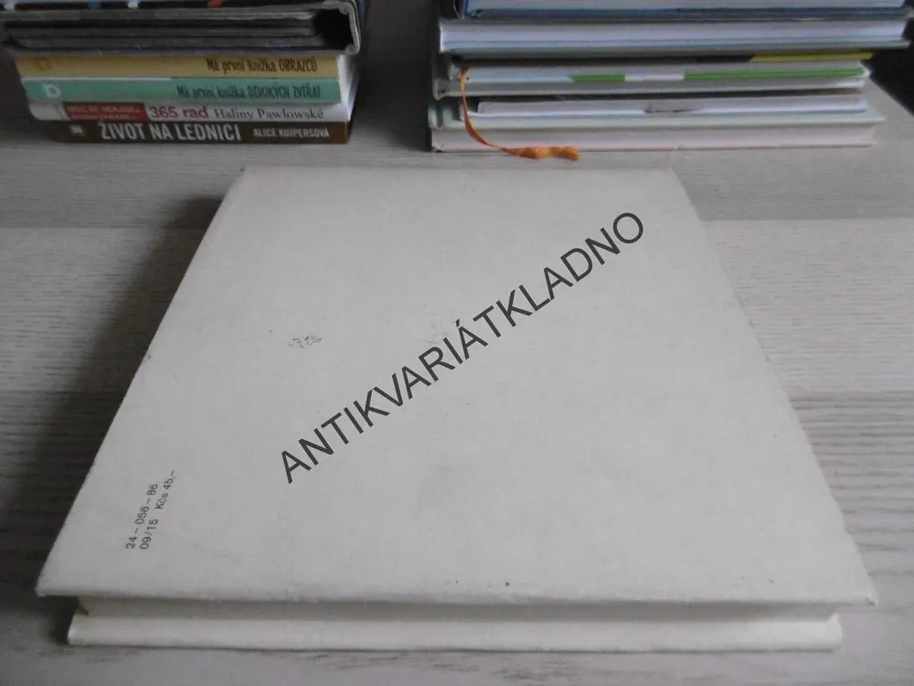 LETY A PÁDY, VLADIMÍR RENČÍN, **an