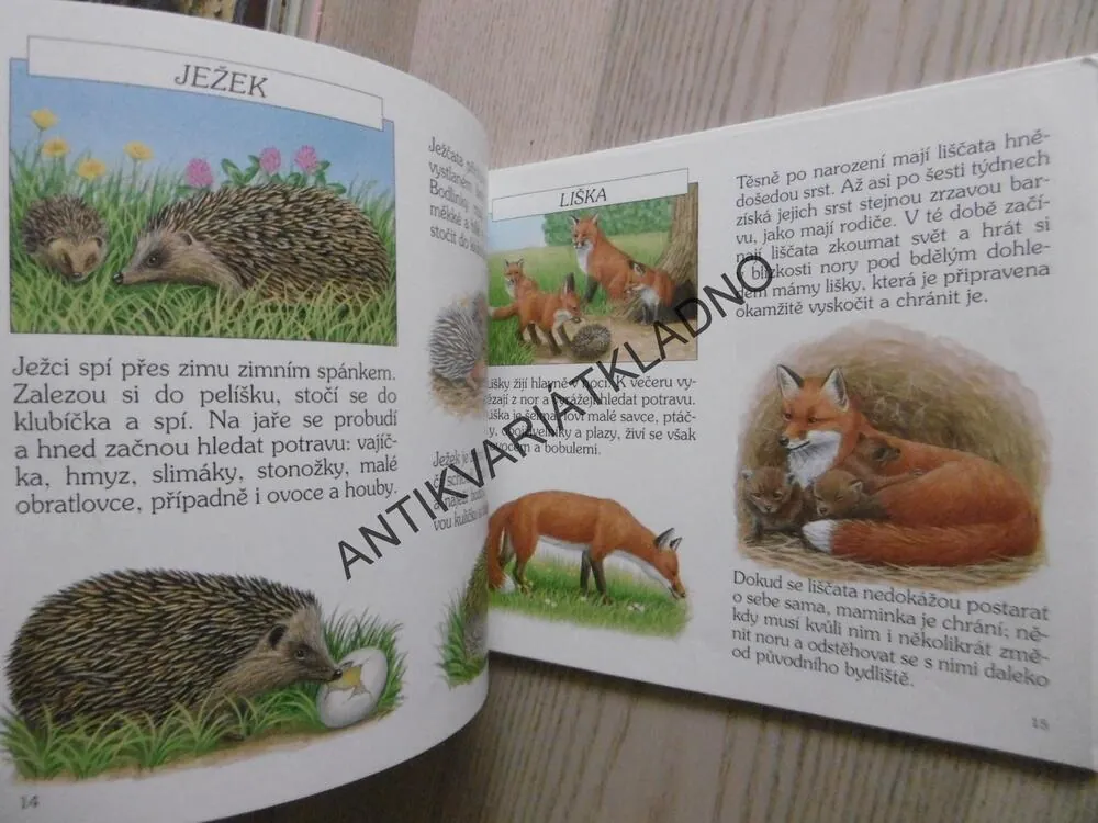 ZVÍŘÁTKA A HÁDANKY, BOB BAMPTON, JULIE BAMPTON, **an