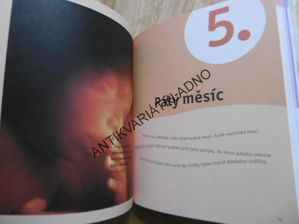 TĚHOTENSKÝ KALENDÁŘ, PRŮVODCE OBDOBÍM ŽENY TÝDEN PO TÝDNU.