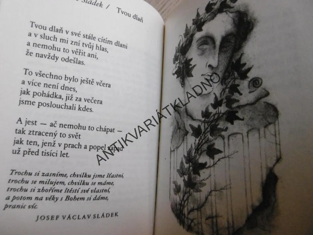 MILOSTNÝ HLAS ČESKÉ POEZIE, **an