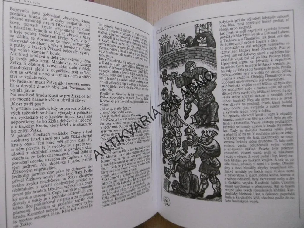 ČTENÍ O HRADECH, ZÁMCÍCH A MĚSTECH, EDUARD PETIŠKA, **an