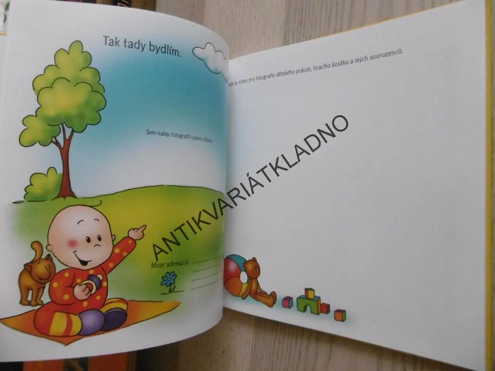 NAŠE DĚŤÁTKO, PRVNÍ ALBUM, HANKA VESELÁ, **an