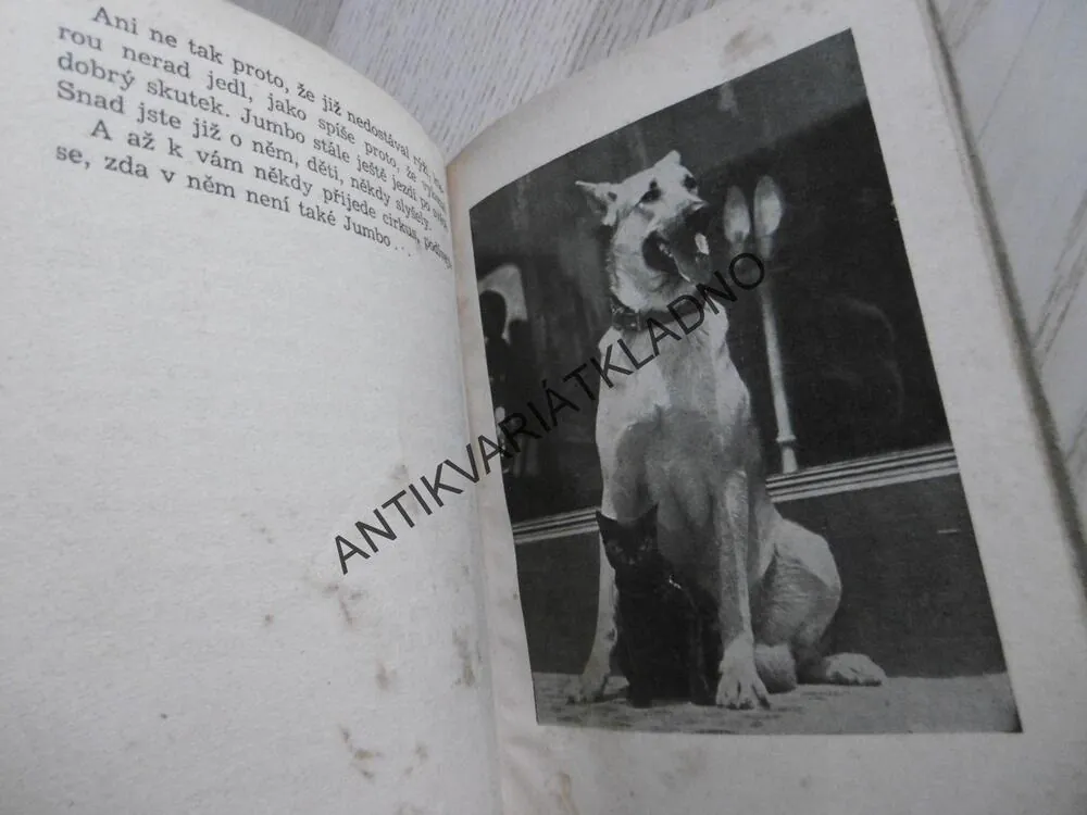 POHÁDKY O HODNÝCH ZVÍŘÁTKÁCH, PAVEL SOLDÁN, 1939, **an