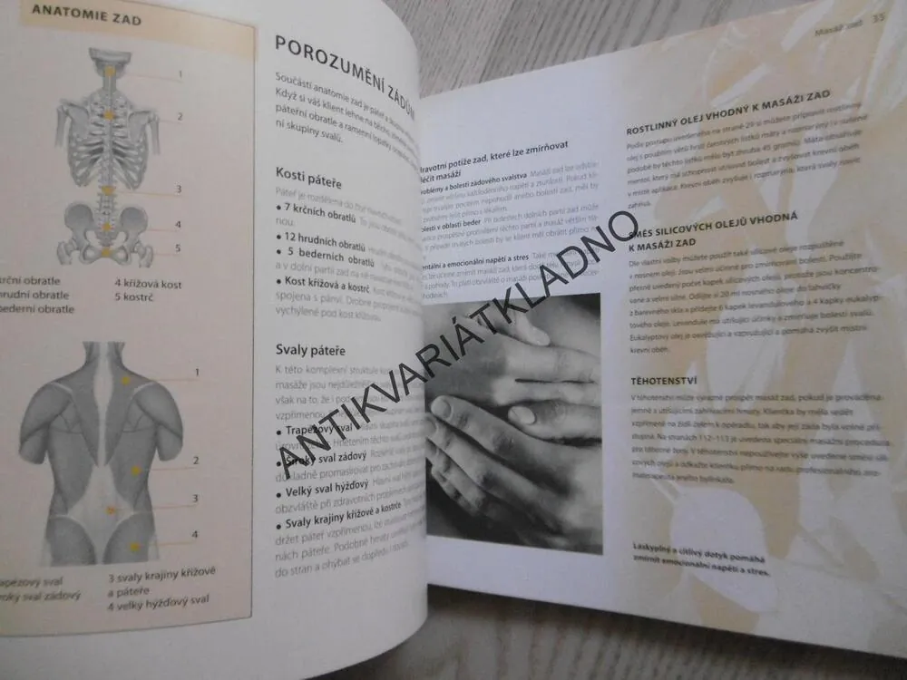 MASÁŽ V 10 LEKCÍCH, JENNIE HARDING, **an