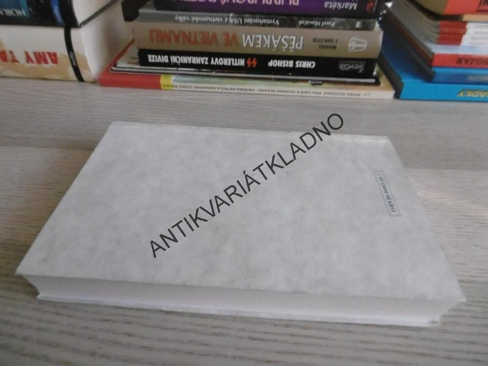 SOUČASNÁ POLITICKÁ FILOSOFIE, JÁNOS KIS, **an