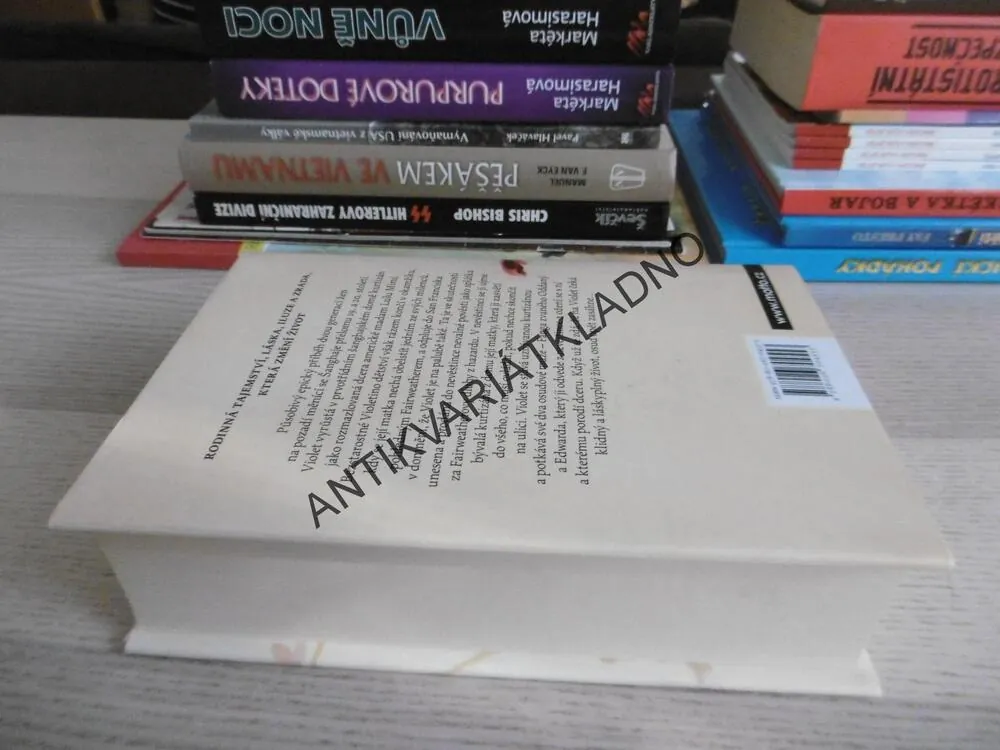 ÚDOLÍ ÚŽASU, AMY TAN, **an