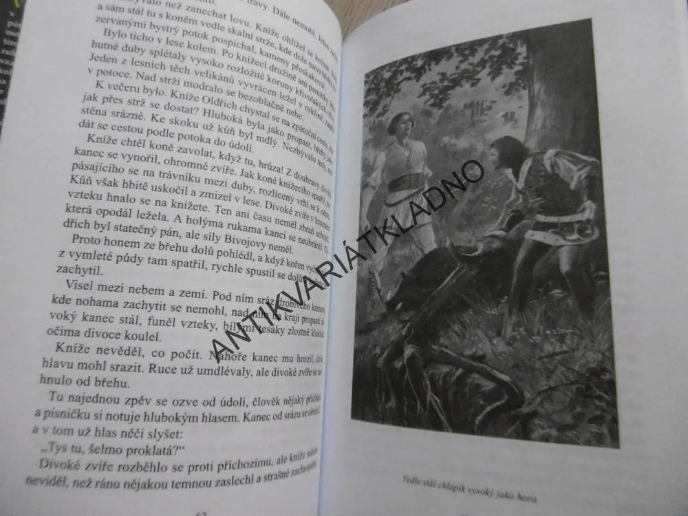 BOHATÝRSKÉ ZVĚSTI, ADOLF WENIG, **an