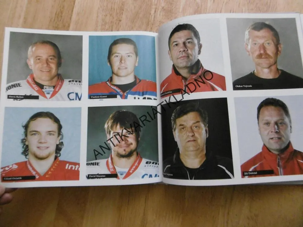 BEROUNŠTÍ MEDVĚDI, HISTORIE BEROUN HOKEJ, 2011