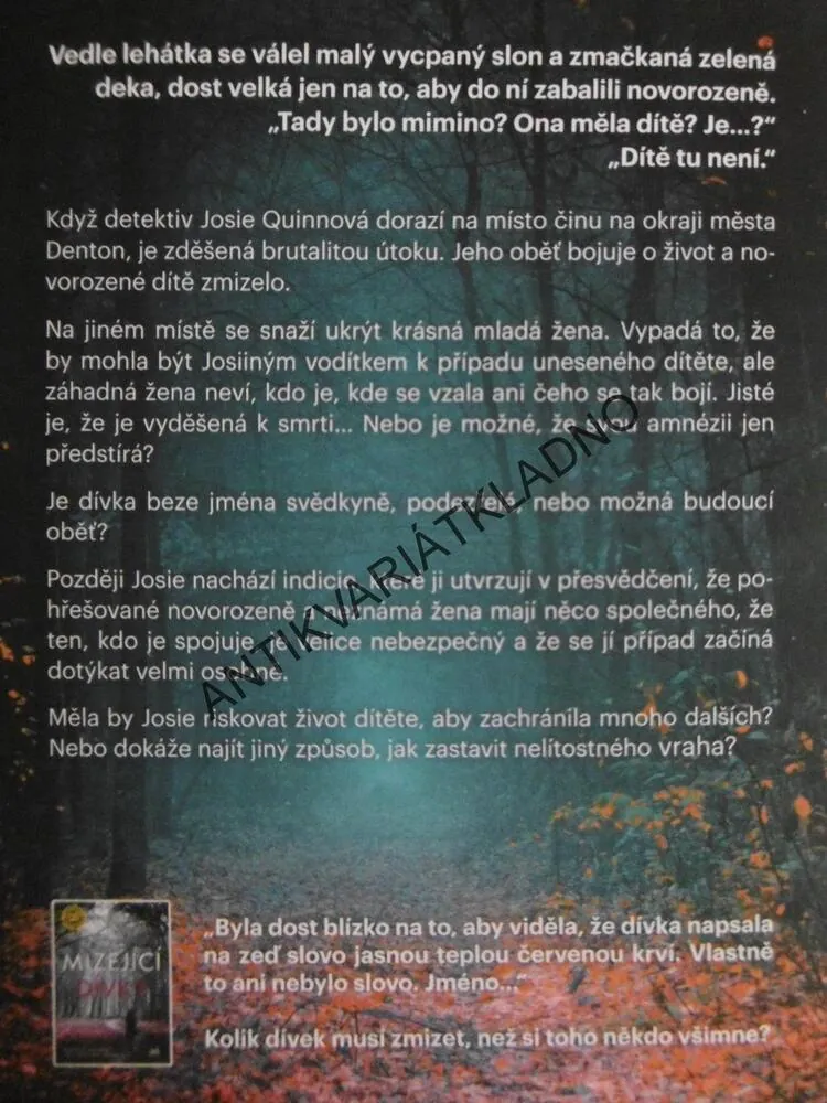 DÍVKA BEZE JMÉNA, LISA REGANOVÁ, **an