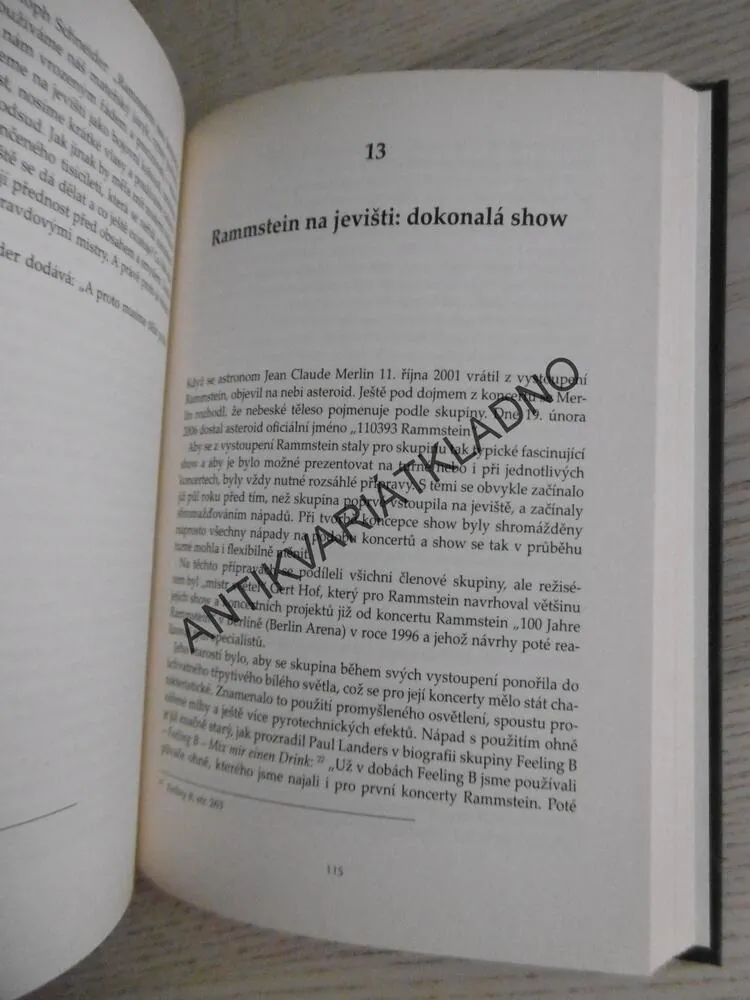 DOKUD SRDCE PLANE, NEOFICIÁLNÍ BIOGRAFIE SKUPINY RAMMSTEIN, MICHAEL FUCHS-GAMBÖCK, THORSTEN SCHATZ