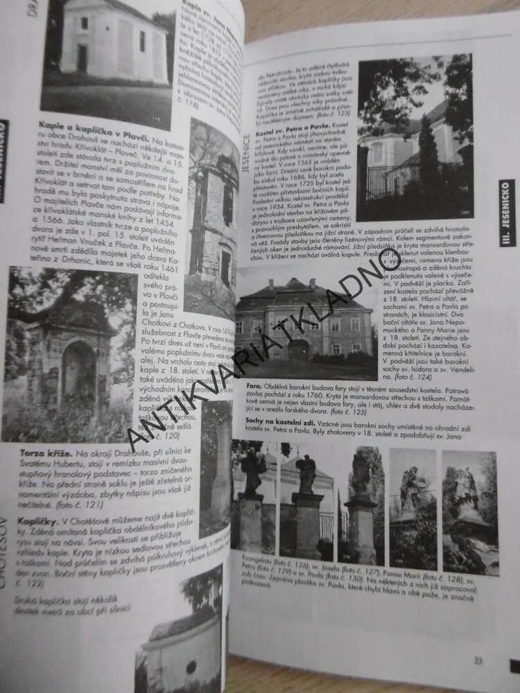 HISTORICKÉ PAMÁTKY RAKOVNICKA, TOMÁŠ BEDNAŘÍK, **an