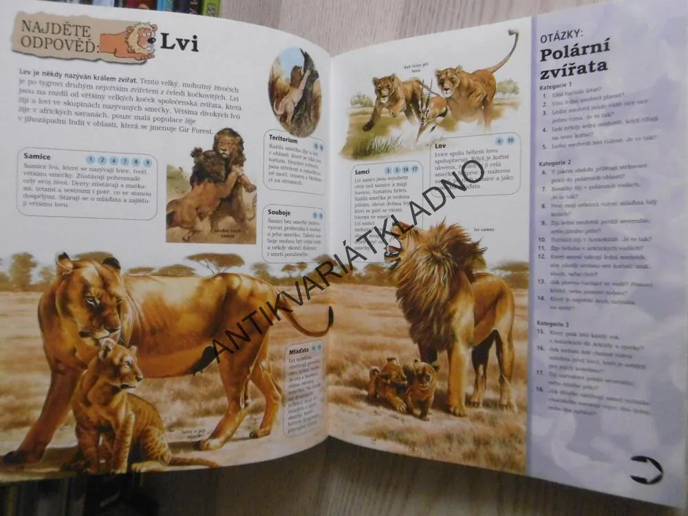 CHYTRÁ KNIHA OTÁZEK A ODPOVĚDÍ, **an
