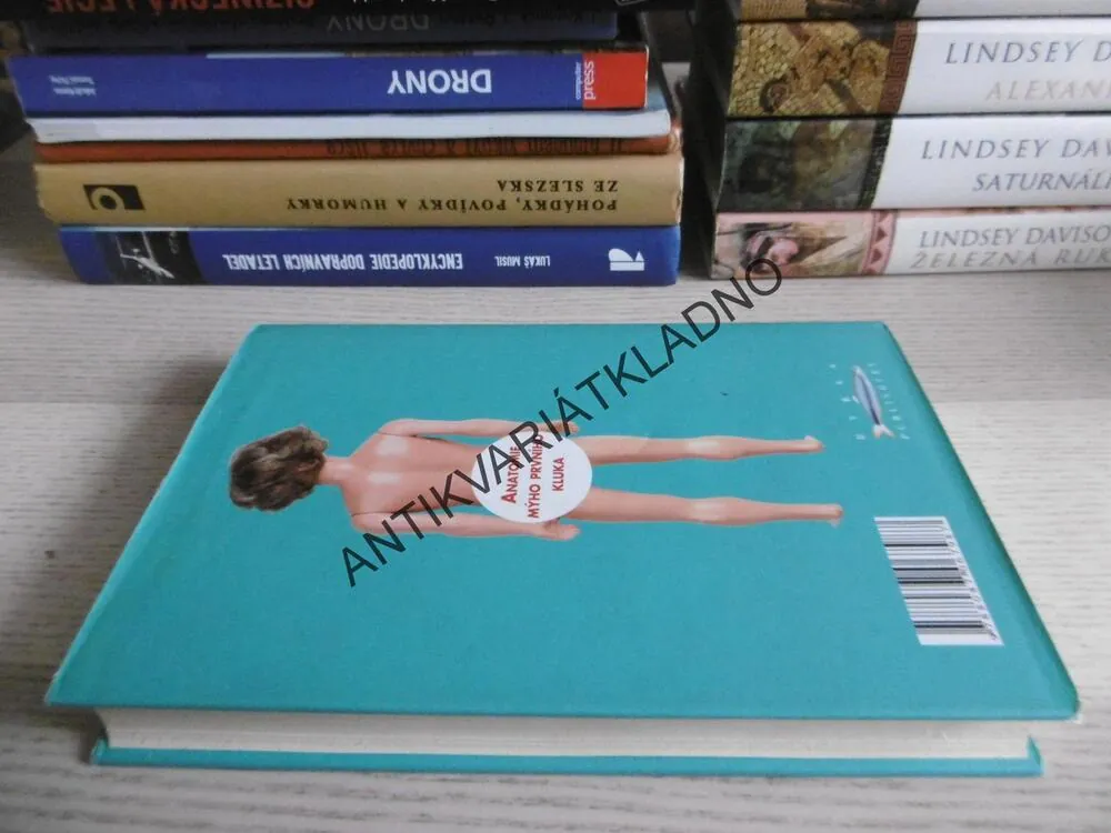 JAK HOLKY PŘICHÁZEJ O ILUZE ANEB ANATOMIE MÝHO PRVNÍHO KLUKA, DARIA SNADOWSKY, **an