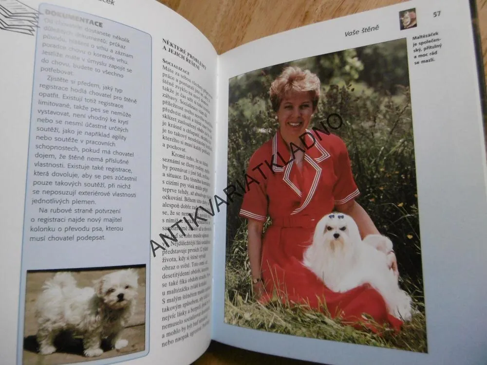 MALTÉZÁČEK, RASA MALTÉZSKÝ PSÍK, CUNLIFFEOVÁ, **an
