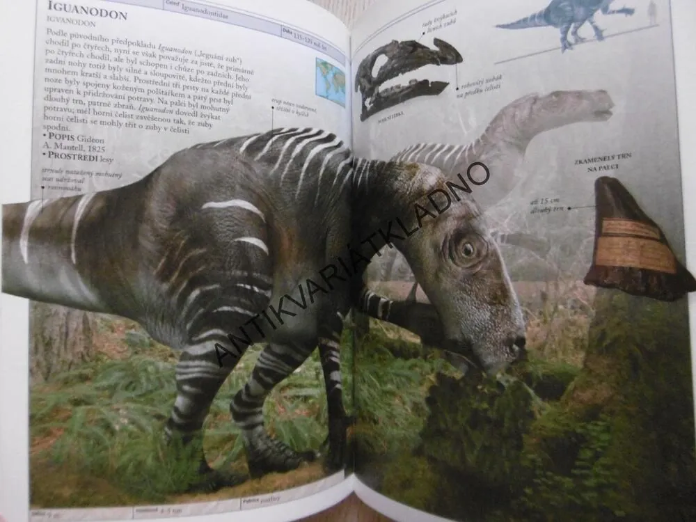 DINOSAUŘI A ŽIVOT V PRAVĚKU, HAZEL RICHARDSONOVÁ, **an