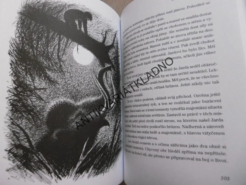 CESTA DO PRAVĚKU A ZASE ZPÁTKY, JITKA ŠKÁPÍKOVÁ, **an