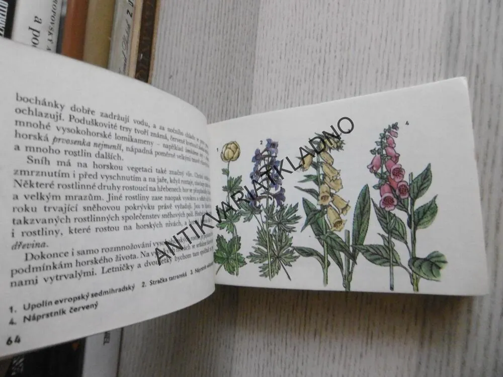 OKO 43 - NAŠE HORY, JIŘÍ ČIHAŘ, ANTONÍN POSPÍŠIL, **an