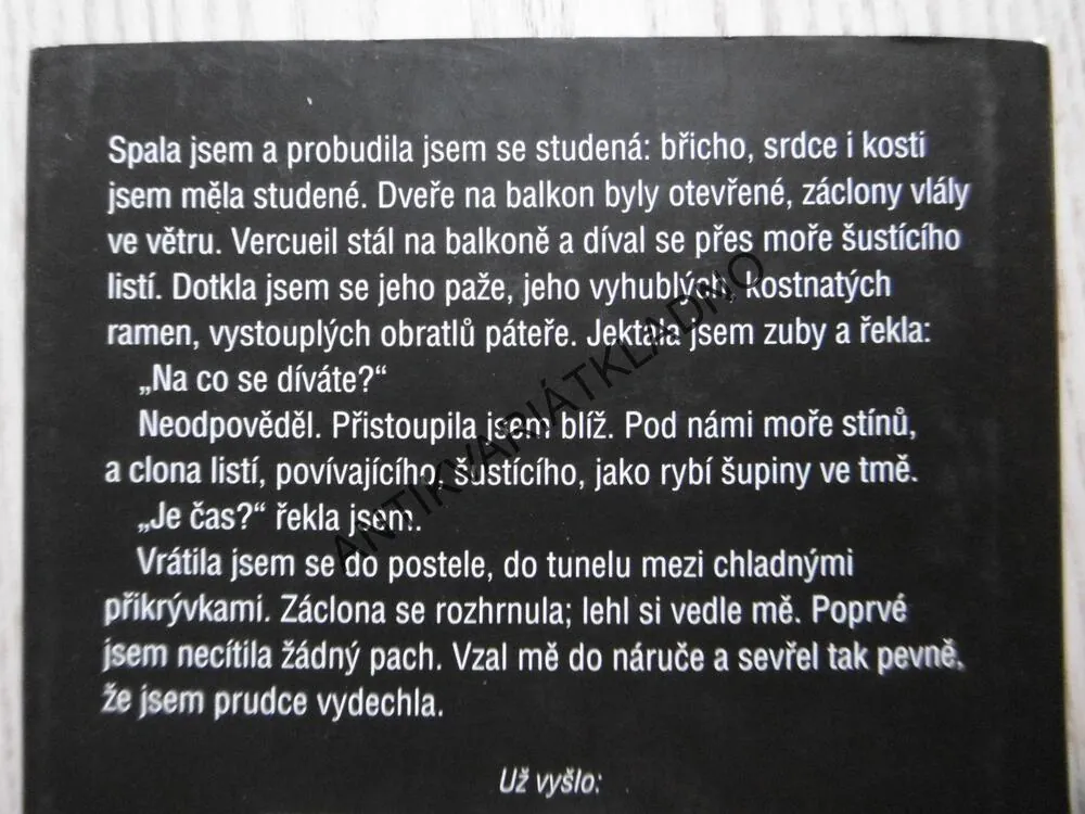 DOBA ŽELEZNÁ, JOHN MAXWELL COETZEE, **an