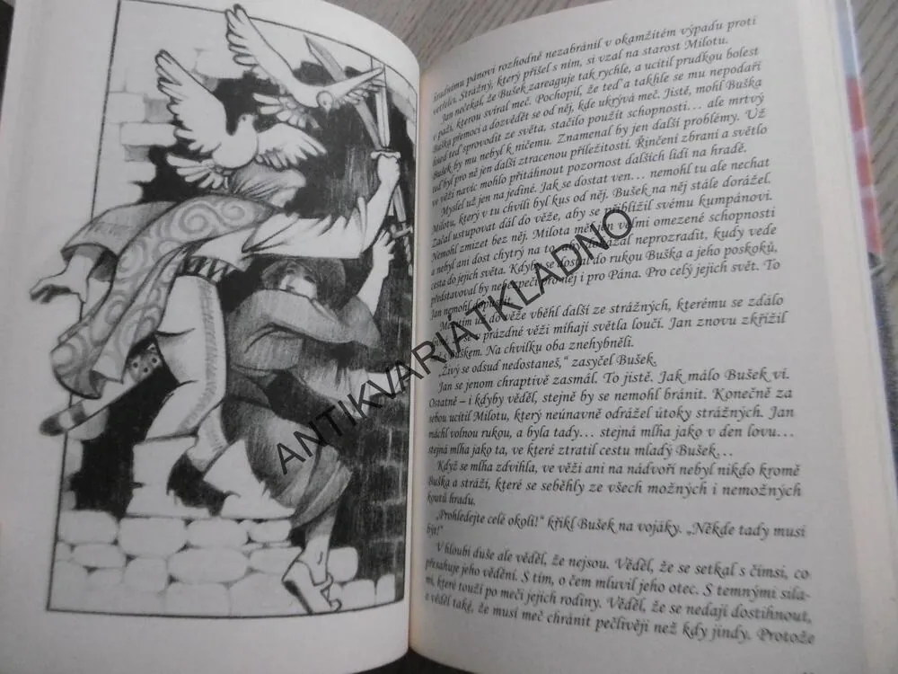 MEČ PÁNŮ Z VELHARTIC, JINDŘIŠKA MENDOZOVÁ, **an