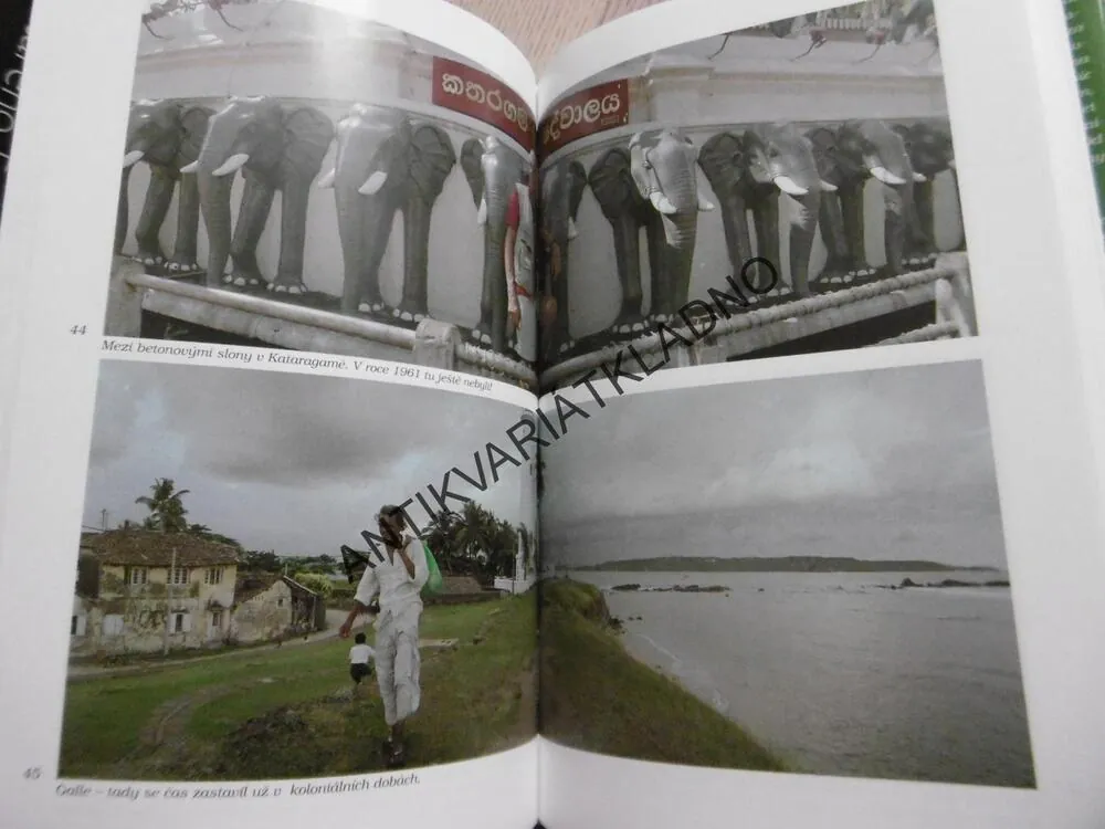 SLONI ŽIJÍ DO STA LET, MIROSLAV ZIKMUND, MIROSLAV NÁPLAVA, PETR HORKÝ, **an