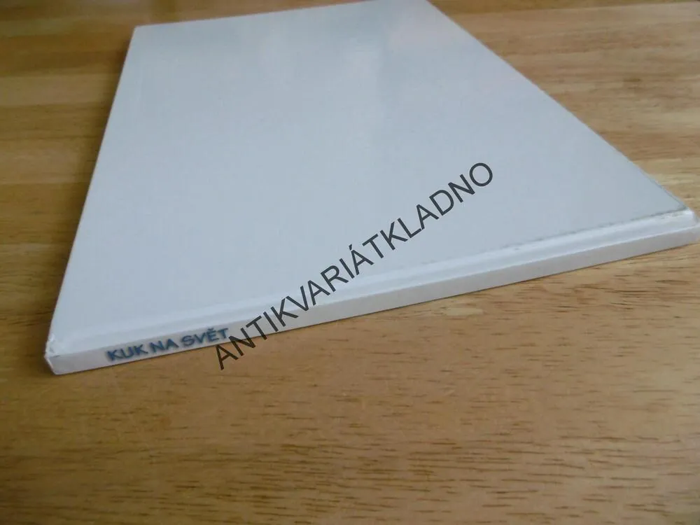 KUK NA SVĚT ANEB PRŮVODCE PRVNÍMI KRŮČKY, MOJE PRVNÍ KNIHA