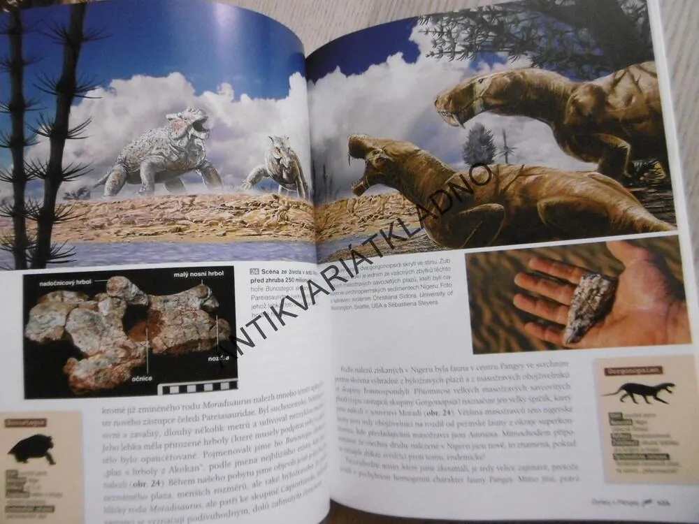 ZEMĚ PŘED DINOSAURY, SÉBASTIEN STEYER, **an