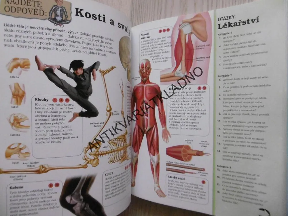 KNIHA OTÁZEK A ODPOVĚDÍ, VÍCE NEŽ 200 OTÁZEK NA PROCVIČOVÁNÍ MOZKOVÝCH ZÁVITŮ, **an