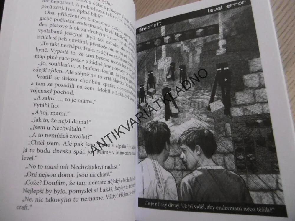 ZAJATCI MINECRAFTU, PETR HETEŠA, **an