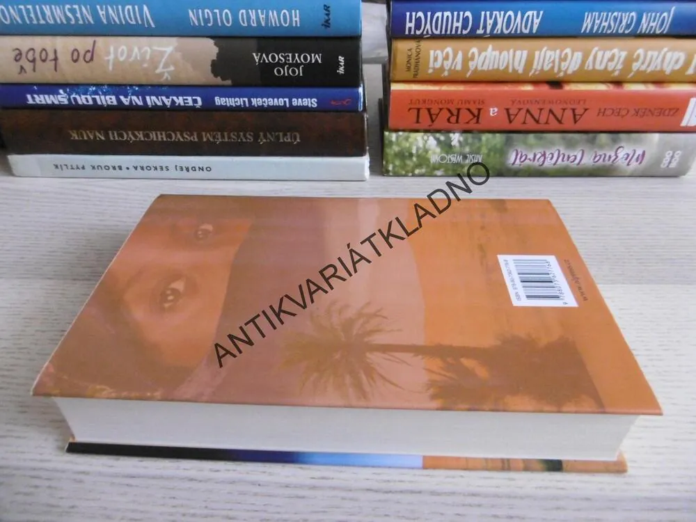 SLZY POUŠTĚ, LÉKAŘKOU V PEKLE NA ZEMI, HALIMA BASHIR, DAMIEN LEWIS, **an