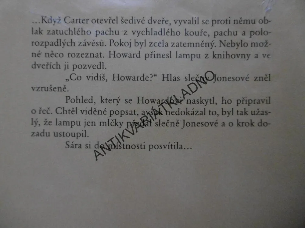 KRÁL Z LUXORU, PHILIPP VANDENBERG, **an