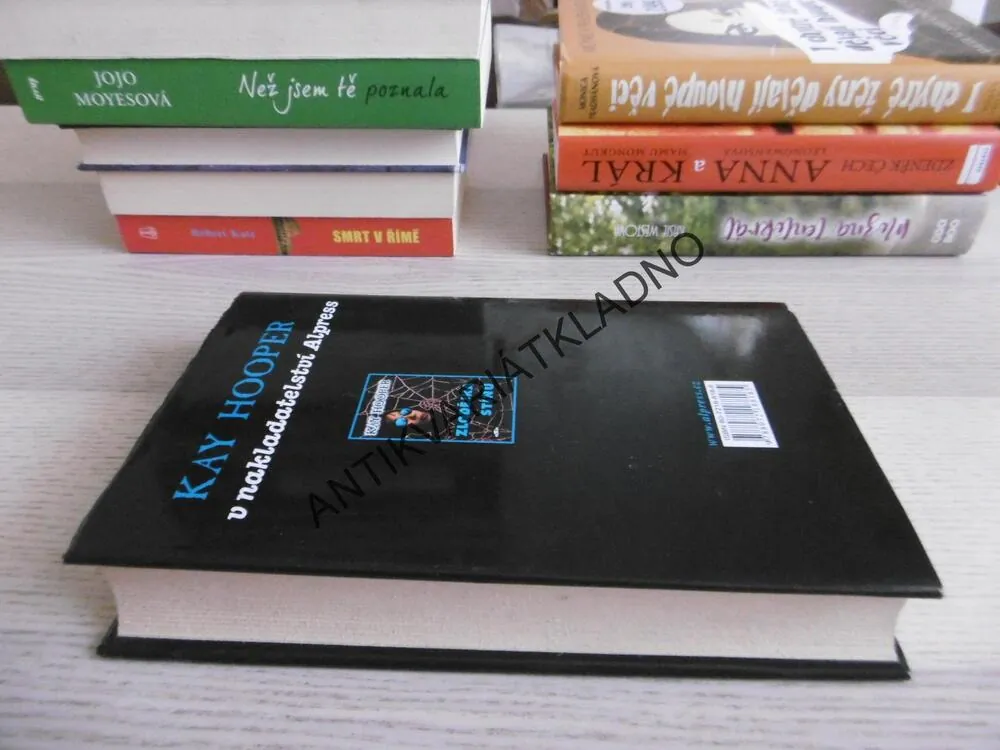 V ZAJETÍ STÍNŮ, KAY HOOPER, **an
