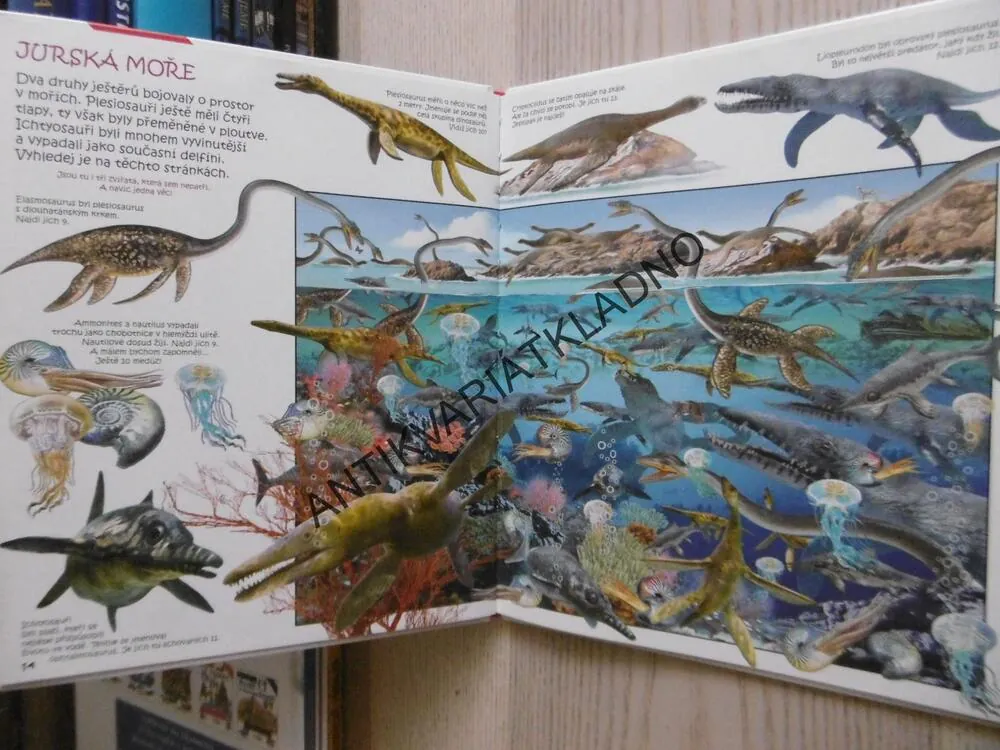 HLEDEJ A OBJEVUJ, DINOSAUŘI, **an