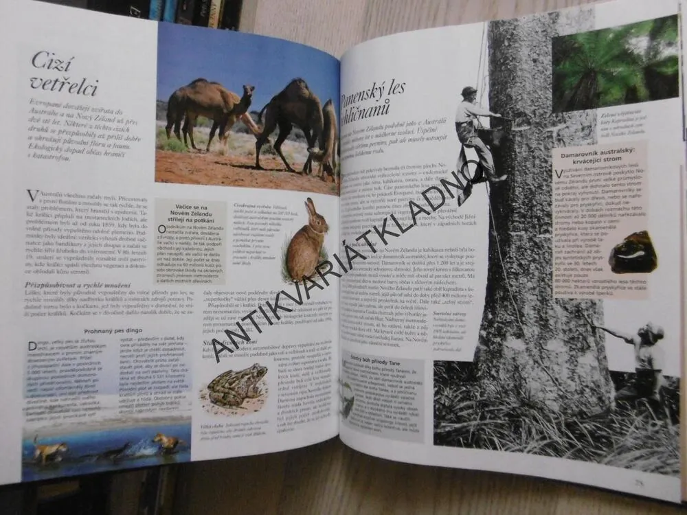 AUSTRÁLIE A NOVÝ ZÉLAND, POZNÁVÁME SVĚT, **an