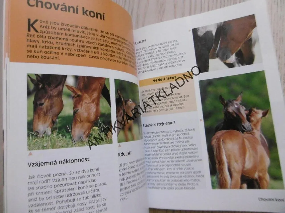 CO SI MYSLÍ KŮŇ, ÚPLNÝ POHLED NA CHOVÁNÍ KONĚ, BINDEROVÁ, **an